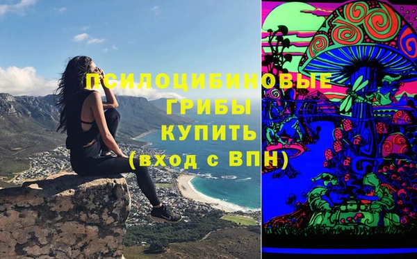 мдма Рославль