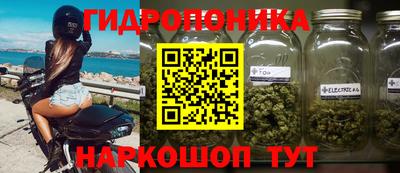 Альфа ПВП Кандалакша