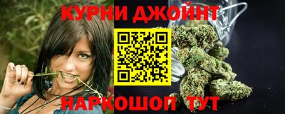 Альфа ПВП Кандалакша