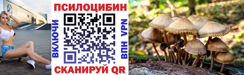 Галлюциногенные грибы ЛСД  Камень-на-Оби 