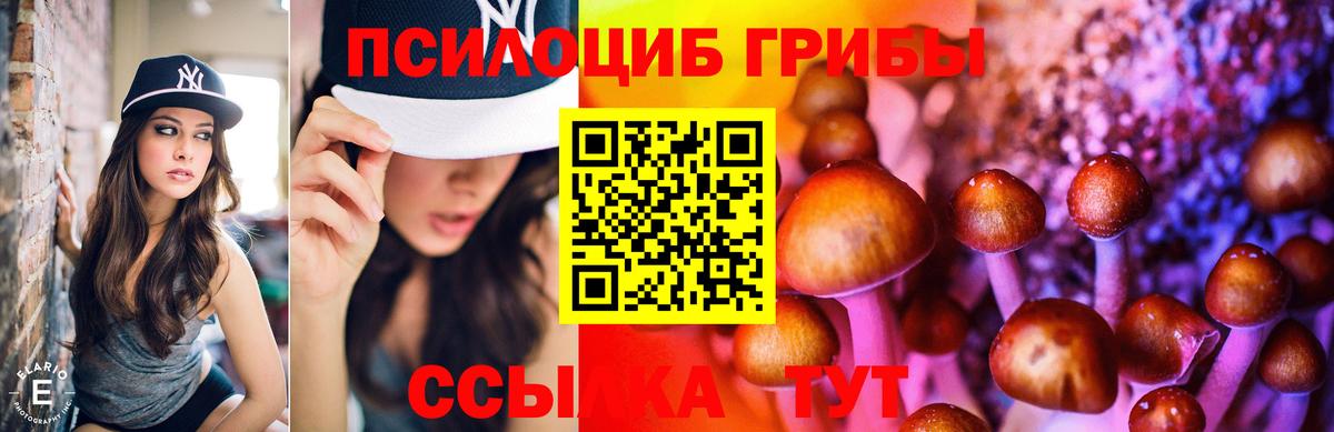 Камень-на-Оби  Галлюциногенные грибы Psilocybe  Вход с VPN 